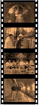 bradshaw construction